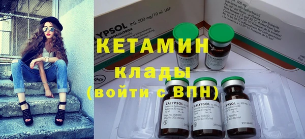 шишки Ельня